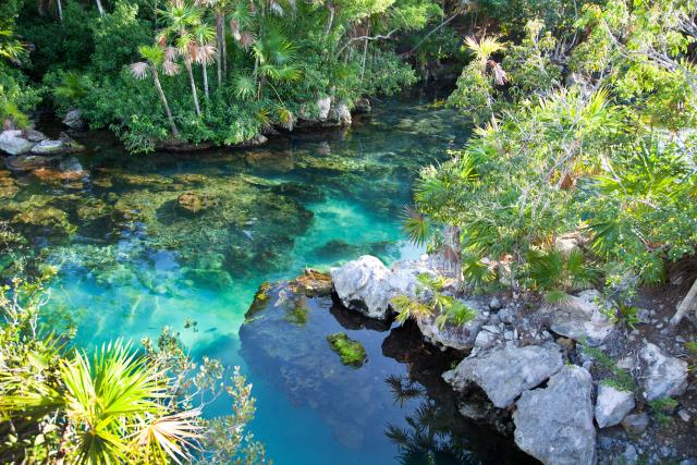 piscina natural no parque X-caret