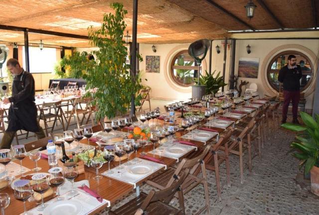 vinicola sul da espanha