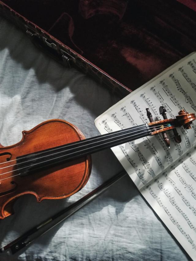 musica classica rio danubio viagem