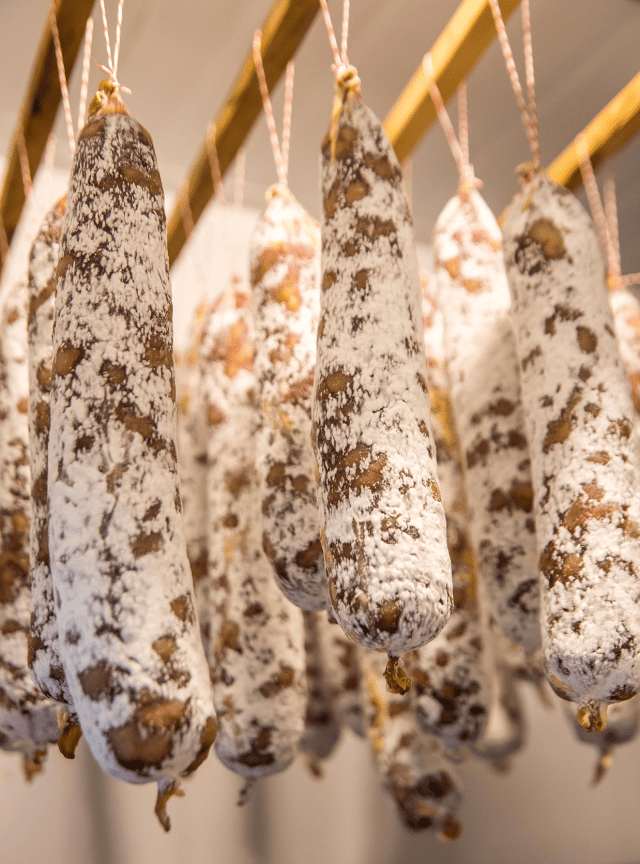salame curiango